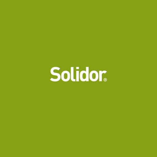 Solidor logo