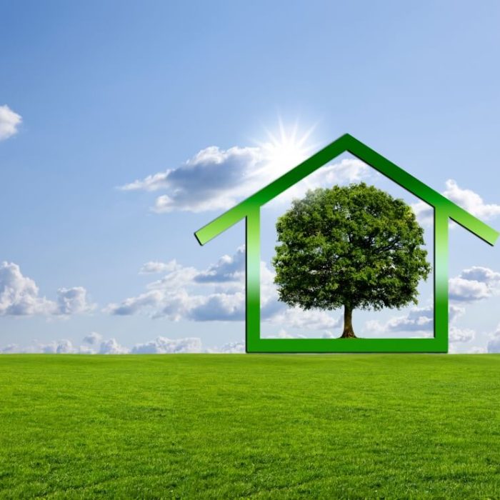 Building a sustainable future with Dekko